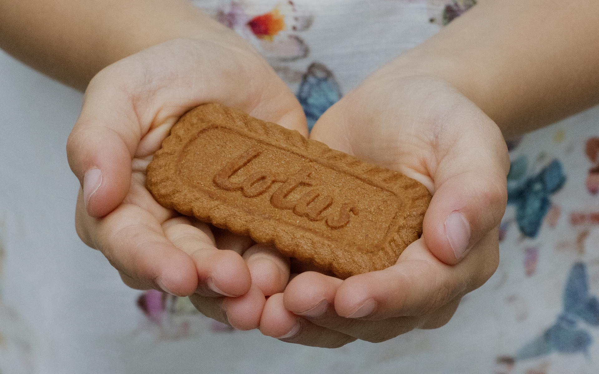 Lotus Biscuits With Biscoff Cream, Milk Chocolate, And Vanilla Fillings Now  Available In Supermarkets At