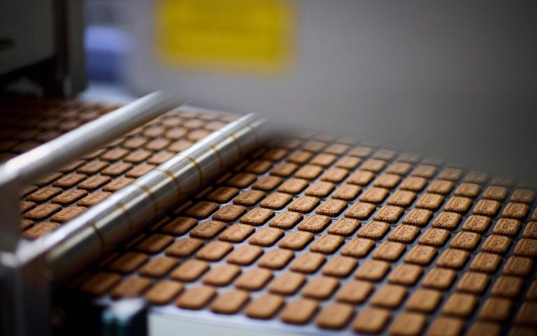 Biscoff cookie production line